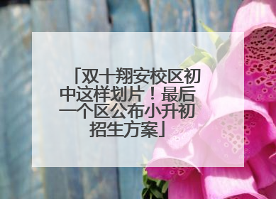 双十翔安校区初中这样划片！最后一个区公布小升初招生方案