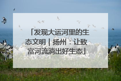 发现大运河里的生态文明｜扬州：让致富河流淌出好生态