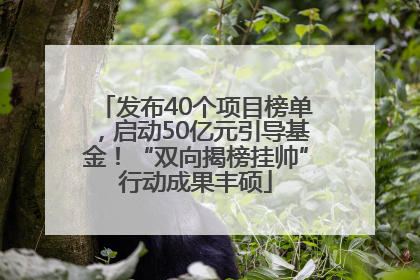 发布40个项目榜单，启动50亿元引导基金！“双向揭榜挂帅”行动成果丰硕