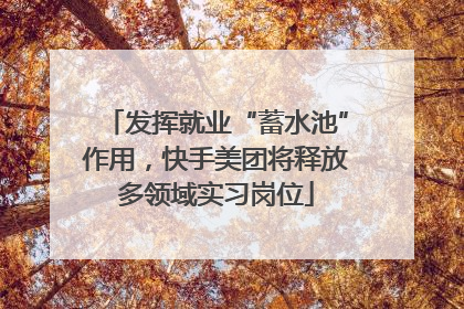 发挥就业“蓄水池”作用，快手美团将释放多领域实习岗位