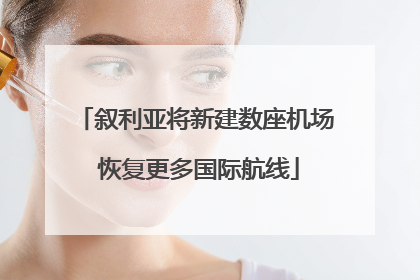 叙利亚将新建数座机场 恢复更多国际航线