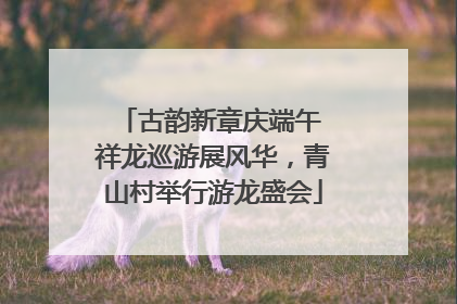 古韵新章庆端午 祥龙巡游展风华，青山村举行游龙盛会