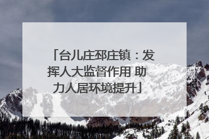 台儿庄邳庄镇：发挥人大监督作用 助力人居环境提升