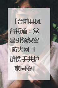 台前县凤台街道：党建引领织密防火网 干群携手共护家园安