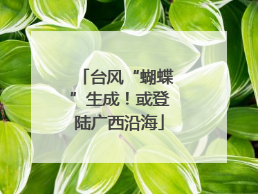 台风“蝴蝶”生成！或登陆广西沿海