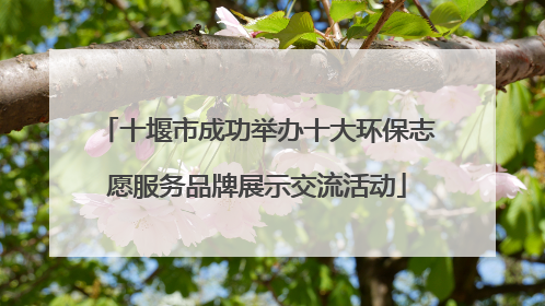 十堰市成功举办十大环保志愿服务品牌展示交流活动