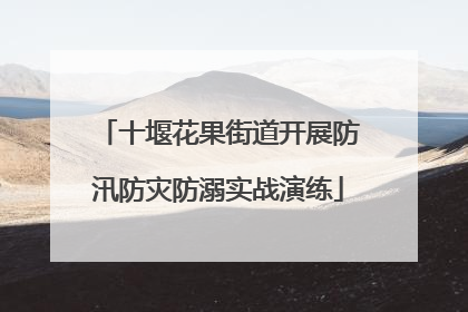 十堰花果街道开展防汛防灾防溺实战演练