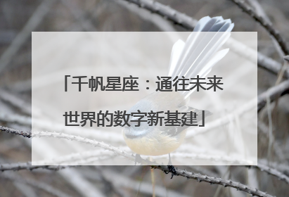 千帆星座：通往未来世界的数字新基建