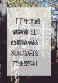 千年栗韵谱新章 迁西板栗高质发展背后的产业密码