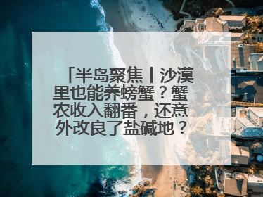 半岛聚焦丨沙漠里也能养螃蟹？蟹农收入翻番，还意外改良了盐碱地？咋做到的？