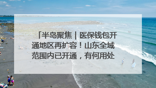 半岛聚焦｜医保钱包开通地区再扩容！山东全域范围内已开通，有何用处？如何操作？速戳→