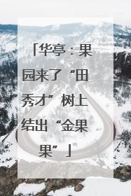 华亭：果园来了“田秀才”树上结出“金果果”