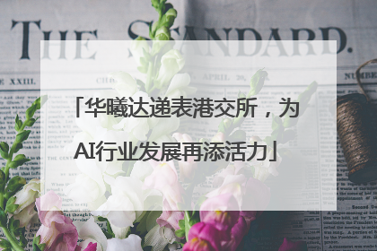 华曦达递表港交所，为AI行业发展再添活力