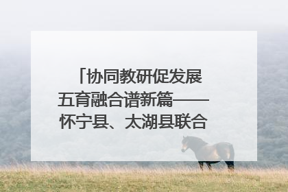 协同教研促发展 五育融合谱新篇——怀宁县、太湖县联合教研活动在月山镇中心学校成功举办