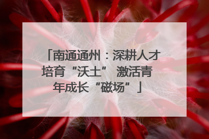 南通通州：深耕人才培育“沃土” 激活青年成长“磁场”