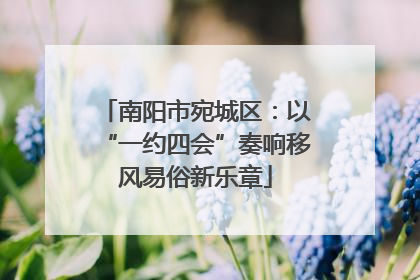南阳市宛城区：以“一约四会”奏响移风易俗新乐章