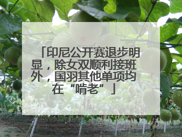 印尼公开赛退步明显，除女双顺利接班外，国羽其他单项均在“啃老”