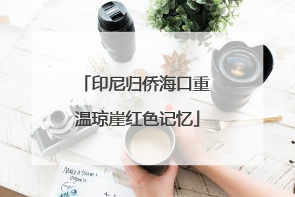 印尼归侨海口重温琼崖红色记忆