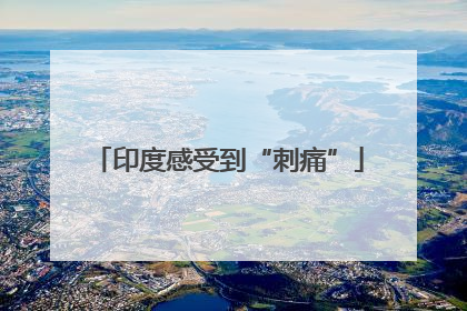 印度感受到“刺痛”