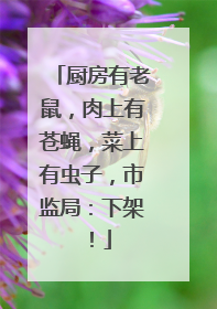 厨房有老鼠，肉上有苍蝇，菜上有虫子，市监局：下架！