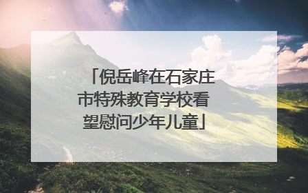 倪岳峰在石家庄市特殊教育学校看望慰问少年儿童
