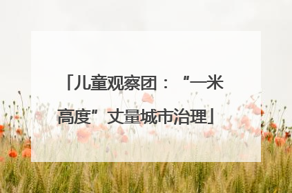 儿童观察团：“一米高度”丈量城市治理