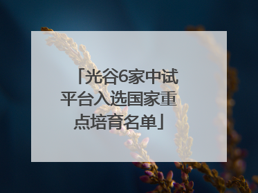 光谷6家中试平台入选国家重点培育名单