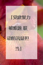 党建聚力破难题 联动防汛显担当