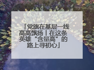 党旗在基层一线高高飘扬丨在这条英雄“含量高”的路上寻初心