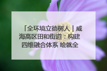 全环境立德树人｜威海高区田和街道：构建四维融合体系 绘就全环境立德树人新画卷