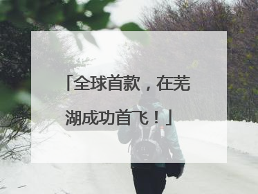 全球首款，在芜湖成功首飞！