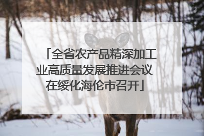 全省农产品精深加工业高质量发展推进会议在绥化海伦市召开