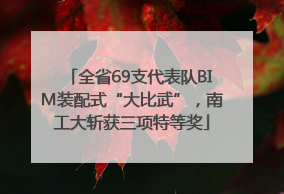 全省69支代表队BIM装配式“大比武”，南工大斩获三项特等奖