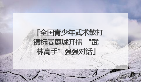 全国青少年武术散打锦标赛鹿城开擂 “武林高手”强强对话