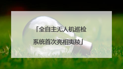 全自主无人机巡检系统首次亮相夷陵