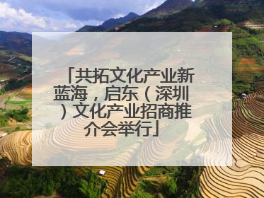 共拓文化产业新蓝海，启东（深圳）文化产业招商推介会举行
