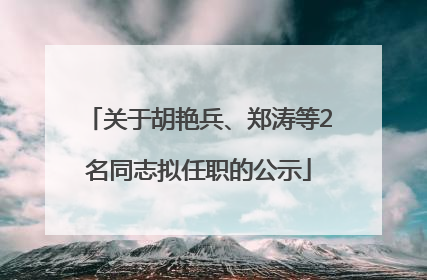 关于胡艳兵、郑涛等2名同志拟任职的公示