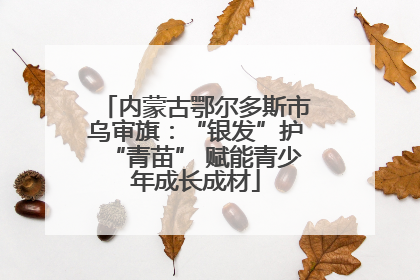 内蒙古鄂尔多斯市乌审旗：“银发”护“青苗” 赋能青少年成长成材