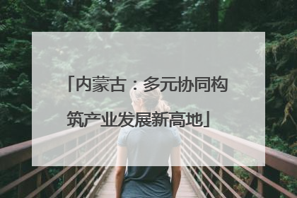 内蒙古：多元协同构筑产业发展新高地