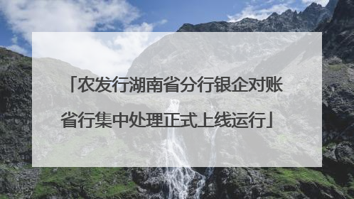 农发行湖南省分行银企对账省行集中处理正式上线运行