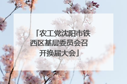 农工党沈阳市铁西区基层委员会召开换届大会