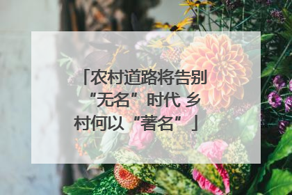 农村道路将告别“无名”时代 乡村何以“著名”