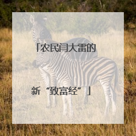 农民闫大雷的新“致富经”