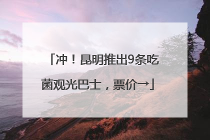冲！昆明推出9条吃菌观光巴士，票价→
