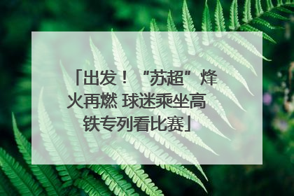 出发！“苏超”烽火再燃 球迷乘坐高铁专列看比赛