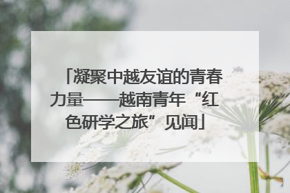 凝聚中越友谊的青春力量——越南青年“红色研学之旅”见闻