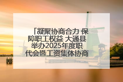 凝聚协商合力 保障职工权益 大通县举办2025年度职代会暨工资集体协商现场观摩交流活动