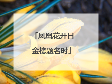 凤凰花开日 金榜题名时