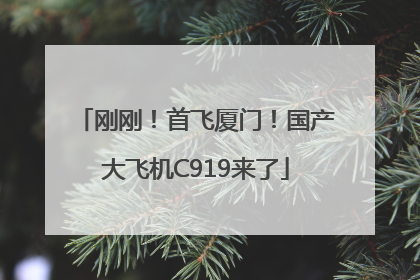 刚刚！首飞厦门！国产大飞机C919来了