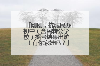 刚刚，杭城民办初中（含民转公学校）摇号结果出炉！有你家娃吗？